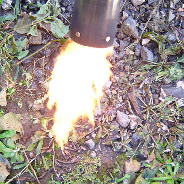 ���Ă��o�[�i�[ �j���[�t�@�C���[���C�h�C���[�W5