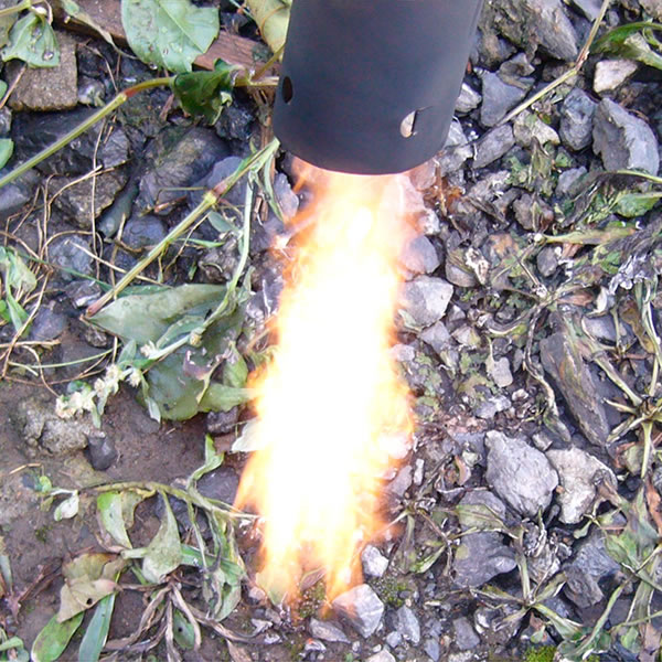 ���Ă��o�[�i�[ �j���[�t�@�C���[���C�h�C���[�W6