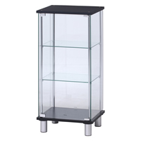 �K���X�R���N�V�����P�[�X�R�i �r�t�i�w�ʃ~���[�j�C���[�W�摜