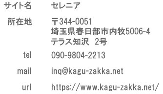 ���̑��\�L