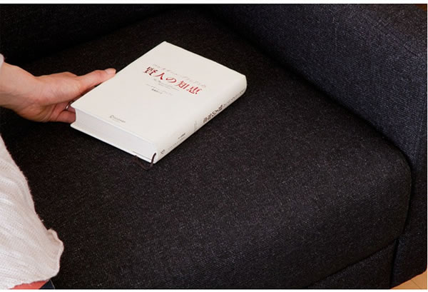 2�l�|���R���p�N�g�\�t�@/Largo�i�����S�j�C���[�W4