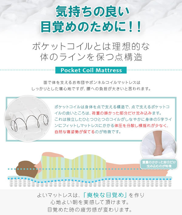 Sucre�y�V���N���z���o�����[�t���x�b�h �}�b�g�Z�b�g �O���[�_�u�� �u���b�N�}�b�g���X�t���C���[�W14